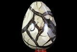 Septarian Dragon Egg Geode - Black Crystals #71992-1